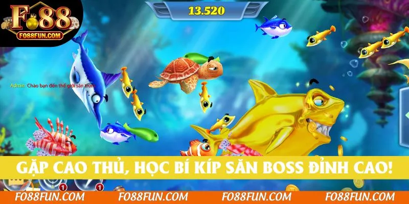 Gặp cao thủ, học bí kíp săn boss đỉnh cao!