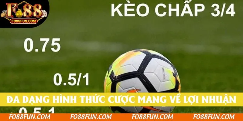 Đa dạng hình thức cược mang về lợi nhuận cao